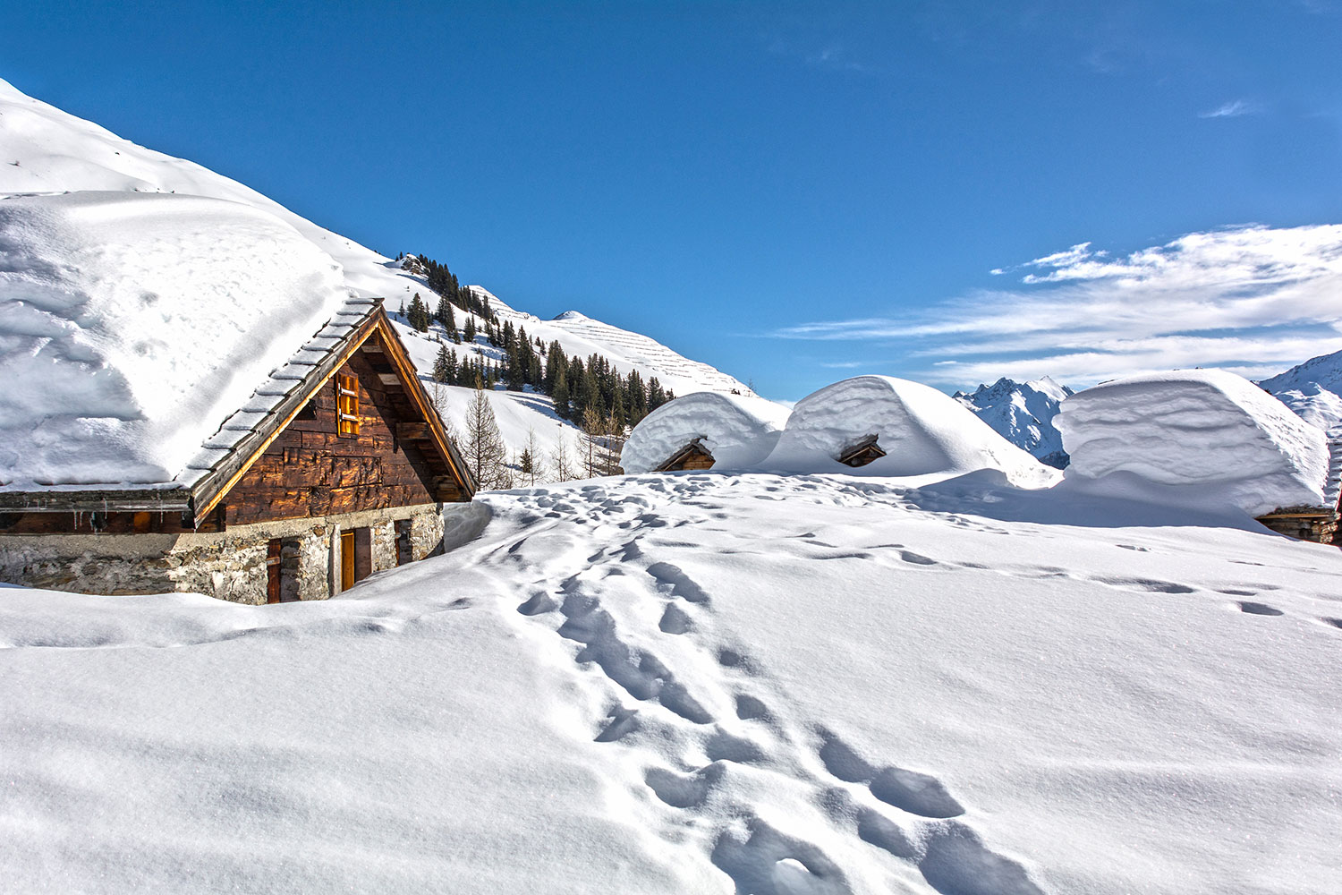 Winter hiking & snowshoe tours in Paznaun